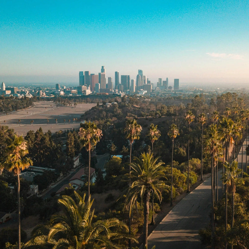 Los Angeles skyline with palm trees lining a road and clear blue sky at sunset